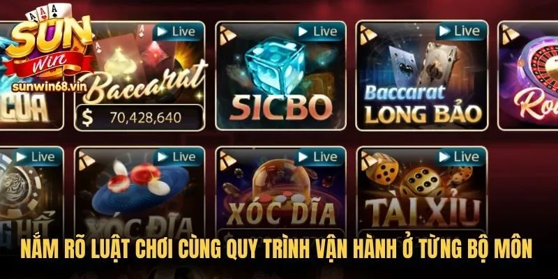 Casino Sunwin - Cá Cược Đẳng Cấp Cùng Dealer Thật 3 Sunwin Nắm rõ luật chơi cùng quy trình vận hành ở từng bộ môn casino